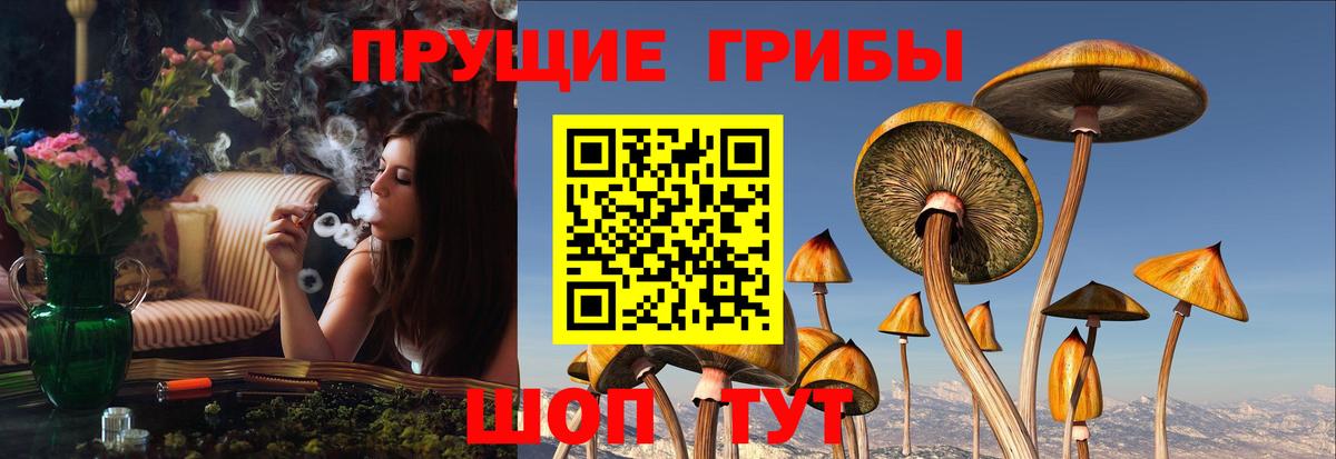 Галлюциногенные грибы мухоморы Новокуйбышевск